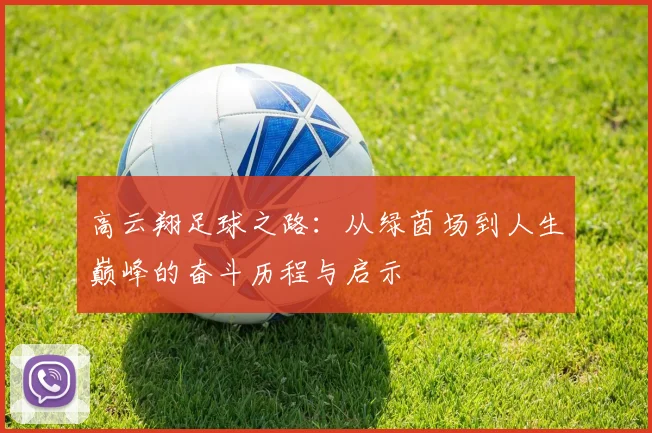 高云翔足球之路：从绿茵场到人生巅峰的奋斗历程与启示
